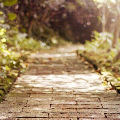 皇冠正规娱乐平台手机app下载